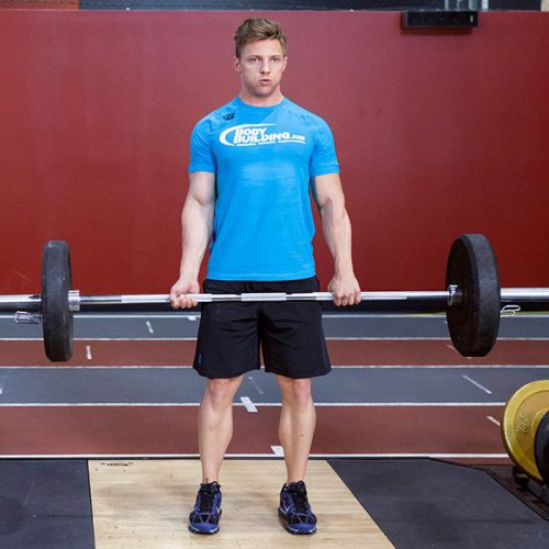 ددلیفت هالتر