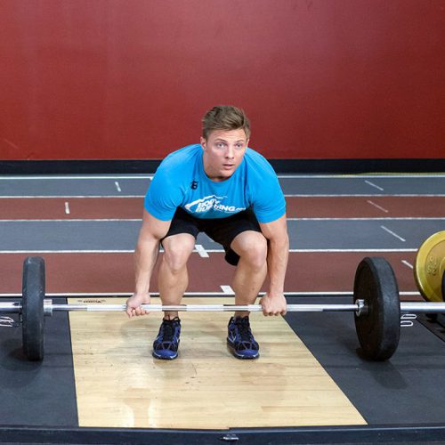 ددلیفت هالتر