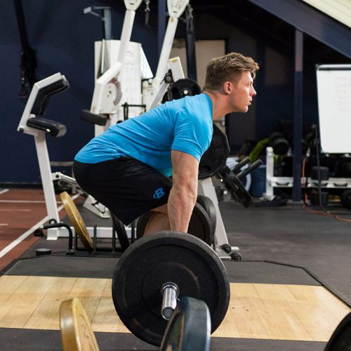 ددلیفت هالتر