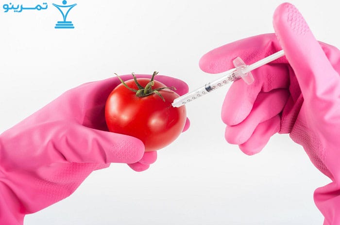 غذای اصلاح‌ شده ژنتیکی GMOs