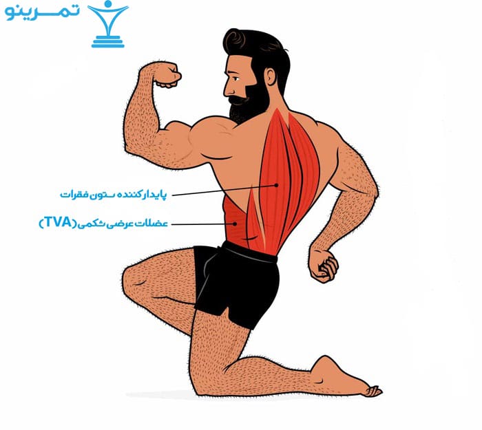 ددلیفت