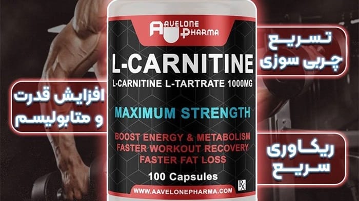 ال کارنیتین برای عضله سازی