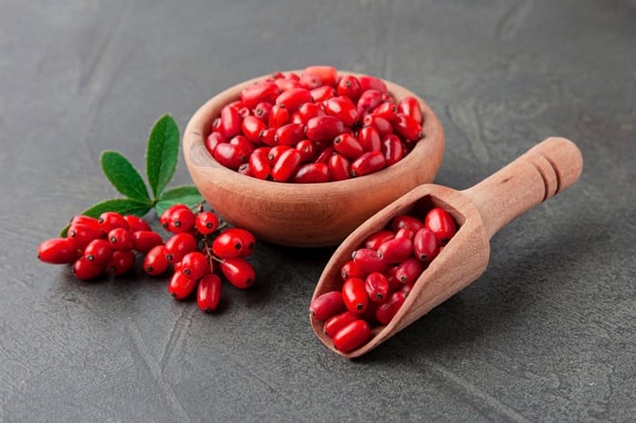 بربرین